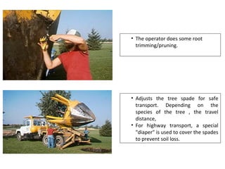 • Adjusts the tree spade for safe
transport. Depending on the
species of the tree , the travel
distance,
• For highway transport, a special
"diaper" is used to cover the spades
to prevent soil loss.
• The operator does some root
trimming/pruning.
 