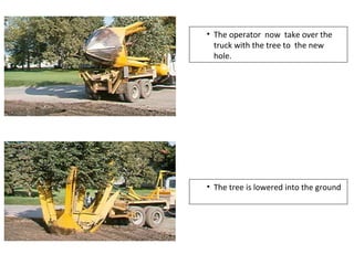 • The tree is lowered into the ground
• The operator now take over the
truck with the tree to the new
hole.
 