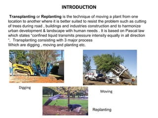 INTRODUCTIONINTRODUCTION
Digging
Moving
Transplanting or Replanting is the technique of moving a plant from one
location to another where it is better suited to resist the problem such as cutting
of trees during road , buildings and industries construction and to harmonize
urban development & landscape with human needs . It is based on Pascal law
which states “confined liquid transmits pressure intensity equally in all direction
“. Transplanting consisting with 3 major process
Which are digging , moving and planting etc.
Replanting
 