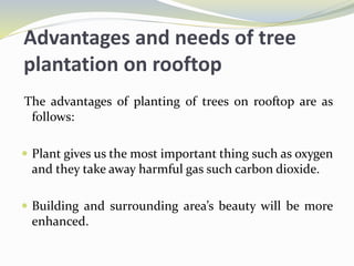Advantages and needs of tree
plantation on rooftop
The advantages of planting of trees on rooftop are as
follows:
 Plant gives us the most important thing such as oxygen
and they take away harmful gas such carbon dioxide.
 Building and surrounding area’s beauty will be more
enhanced.
 