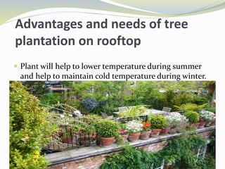 Advantages and needs of tree
plantation on rooftop
 Plant will help to lower temperature during summer
and help to maintain cold temperature during winter.
 