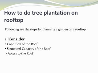 How to do tree plantation on
rooftop
Following are the steps for planning a garden on a rooftop:
1. Consider
• Condition of the Roof
• Structural Capacity of the Roof
• Access to the Roof
 