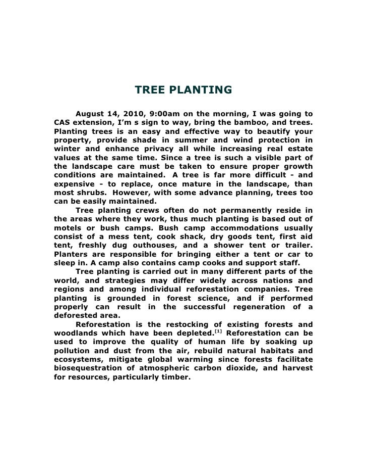 essay about planting activity
