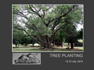 12-13 July, 2014
TREE PLANTING
 