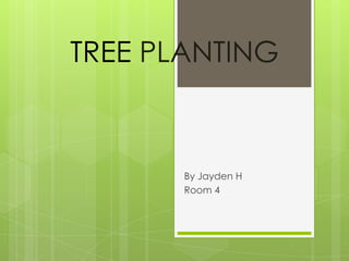 TREE PLANTING
By Jayden H
Room 4
 