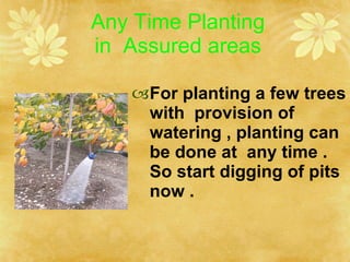 Any Time Planting in  Assured areas <ul><li>For planting a few trees with  provision of watering , planting can be done at...