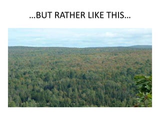 …BUT RATHER LIKE THIS…
 