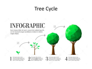 Tree Cycle
 