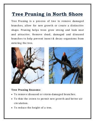 Tree Pruning in North Shore
Tree Pruning is a process of tree to remove damaged
branches, allow for new growth or create a distinctive
shape. Pruning helps trees grow strong and look neat
and attractive. Remove dead, damaged and diseased
branches to help prevent insect & decay organisms from
entering the tree.
Tree Pruning Reasons:
 To remove diseased or storm-damaged branches.
 To thin the crown to permit new growth and better air
circulation.
 To reduce the height of a tree.
 
