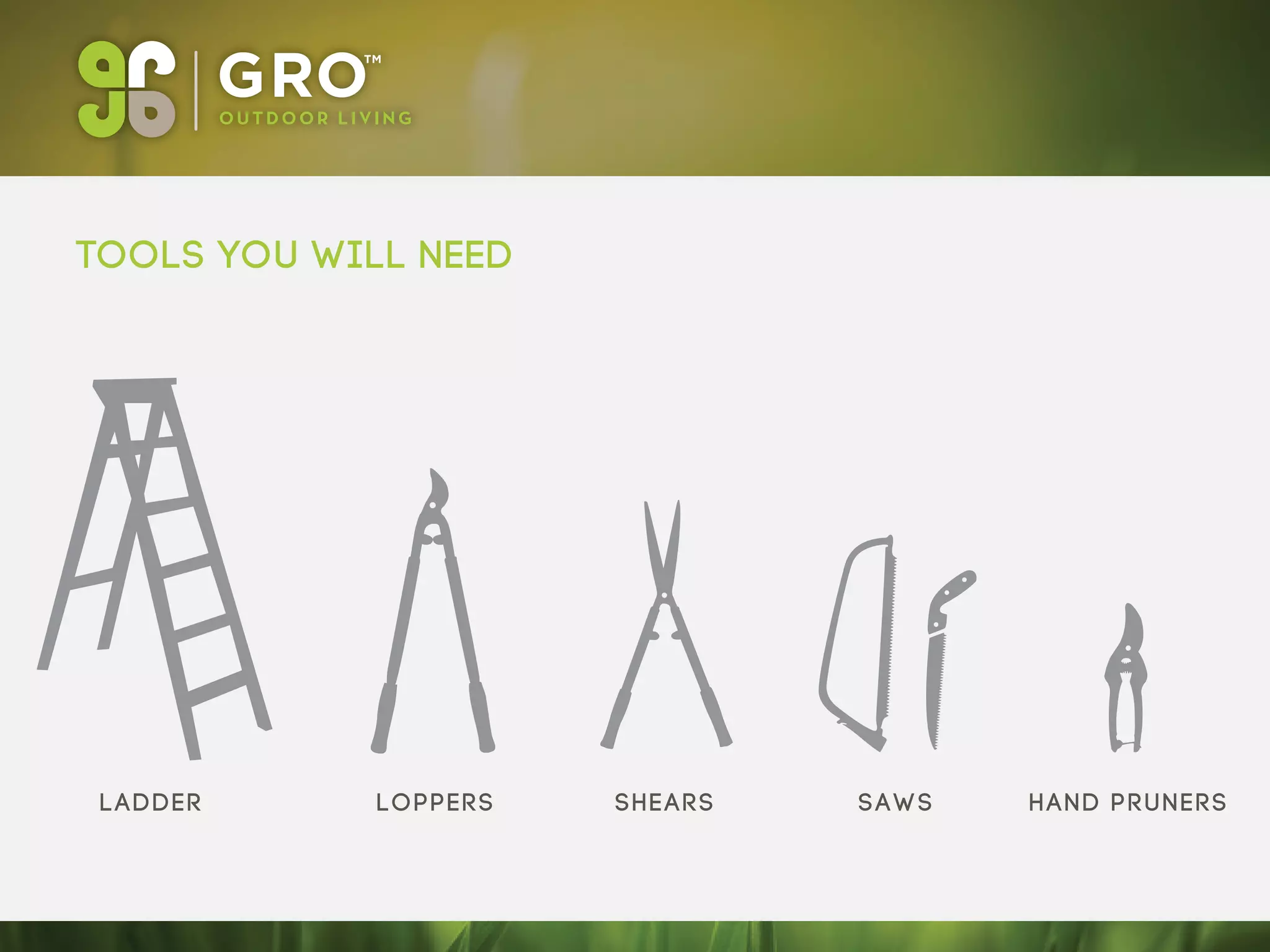 tools you will Need
LoppersLadder Shears saws Hand pruners
 