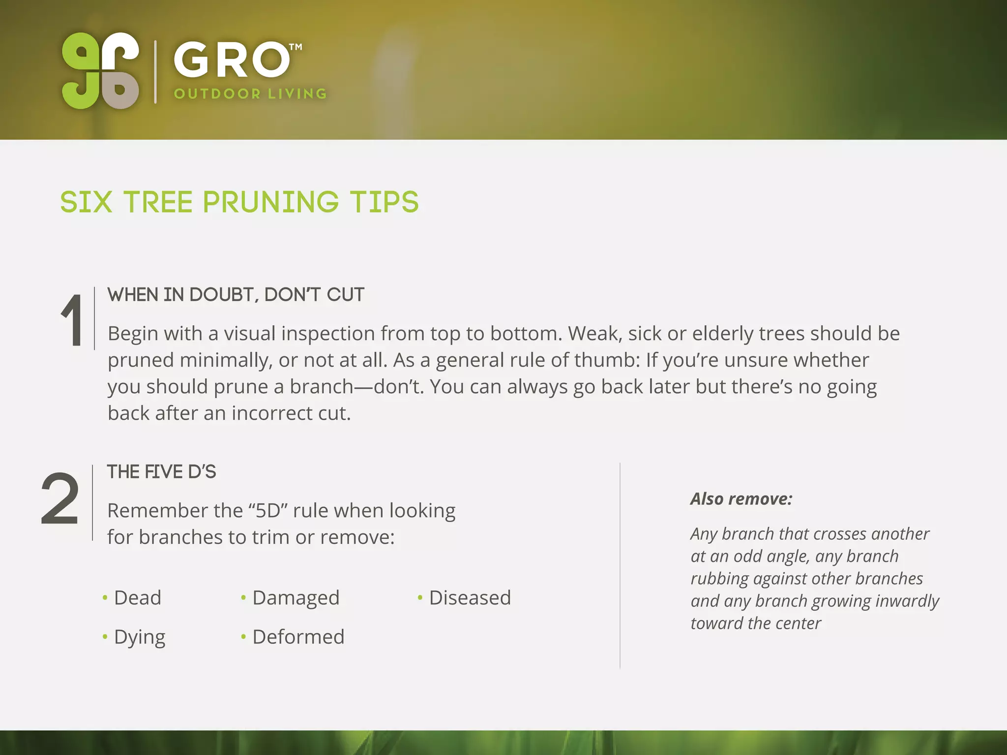 Six Tree Pruning Tips
When in doubt, don’t cut
Begin with a visual inspection from top to bottom. Weak, sick or elderly trees should be
pruned minimally, or not at all. As a general rule of thumb: If you’re unsure whether
you should prune a branch—don’t. You can always go back later but there’s no going
back after an incorrect cut.
The five D’s
Remember the “5D” rule when looking
for branches to trim or remove:
Also remove:
Any branch that crosses another
at an odd angle, any branch
rubbing against other branches
and any branch growing inwardly
toward the center
1
2
• Dead
• Dying
• Damaged
• Deformed
• Diseased
 