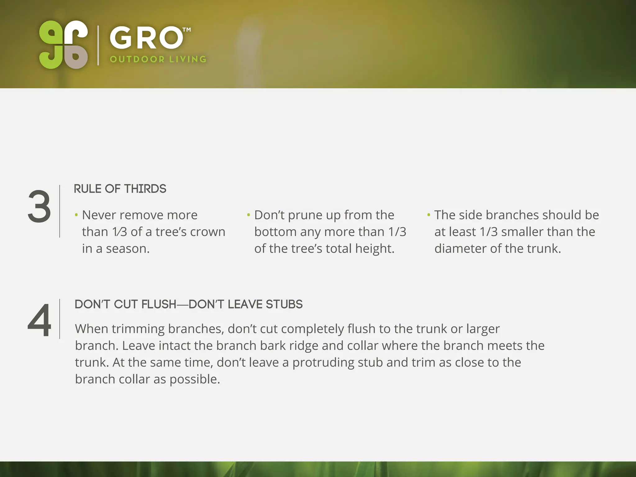 3
4
• Never remove more
than 1⁄3 of a tree’s crown
in a season.
• Don’t prune up from the
bottom any more than 1/3
of the tree’s total height.
• The side branches should be
at least 1/3 smaller than the
diameter of the trunk.
Rule of thirds
Don’t cut flush—Don’t leave stubs
When trimming branches, don’t cut completely ﬂush to the trunk or larger
branch. Leave intact the branch bark ridge and collar where the branch meets the
trunk. At the same time, don’t leave a protruding stub and trim as close to the
branch collar as possible.
 