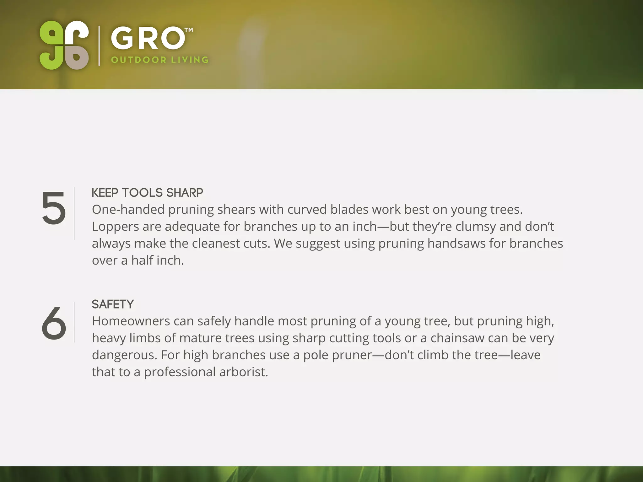 5
6
Keep tools sharp
One-handed pruning shears with curved blades work best on young trees.
Loppers are adequate for branches up to an inch—but they’re clumsy and don’t
always make the cleanest cuts. We suggest using pruning handsaws for branches
over a half inch.
Safety
Homeowners can safely handle most pruning of a young tree, but pruning high,
heavy limbs of mature trees using sharp cutting tools or a chainsaw can be very
dangerous. For high branches use a pole pruner—don’t climb the tree—leave
that to a professional arborist.
 