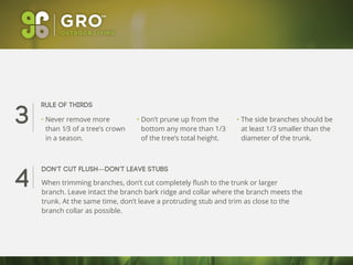 3
4
• Never remove more
than 1⁄3 of a tree’s crown
in a season.
• Don’t prune up from the
bottom any more than 1/3
of the tree’s total height.
• The side branches should be
at least 1/3 smaller than the
diameter of the trunk.
Rule of thirds
Don’t cut flush—Don’t leave stubs
When trimming branches, don’t cut completely ﬂush to the trunk or larger
branch. Leave intact the branch bark ridge and collar where the branch meets the
trunk. At the same time, don’t leave a protruding stub and trim as close to the
branch collar as possible.
 