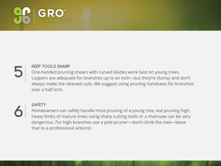 5
6
Keep tools sharp
One-handed pruning shears with curved blades work best on young trees.
Loppers are adequate for branches up to an inch—but they’re clumsy and don’t
always make the cleanest cuts. We suggest using pruning handsaws for branches
over a half inch.
Safety
Homeowners can safely handle most pruning of a young tree, but pruning high,
heavy limbs of mature trees using sharp cutting tools or a chainsaw can be very
dangerous. For high branches use a pole pruner—don’t climb the tree—leave
that to a professional arborist.
 