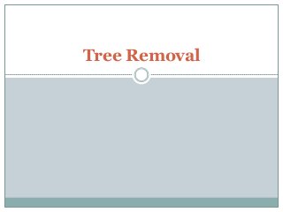Tree Removal
 
