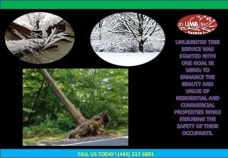 CALL US TODAY! (443) 517-6881
 