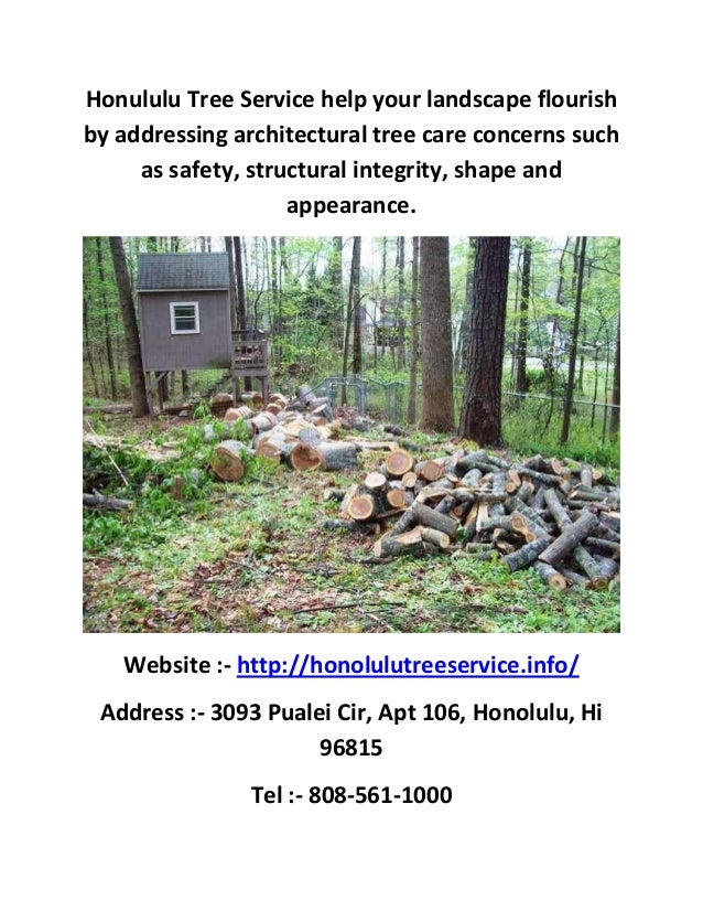 Tree removal honolulu service in hi