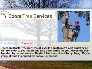 Tree Removal Experts
There are Boots Tree Services all over the south metro area and they all
will come out to your home and take down a tree for you. Maybe the tree
has died by natural causes. Maybe it has been struck by lightning. Maybe
you just want it removed for cosmetic reasons.
 