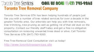 Toronto Tree Removal Company
Toronto Tree Services GTA has been helping hundreds of people just
like you with a number of ...