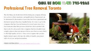 Professional Tree Removal Toronto
The first thing you should check before hiring any company offering
tree services is the...