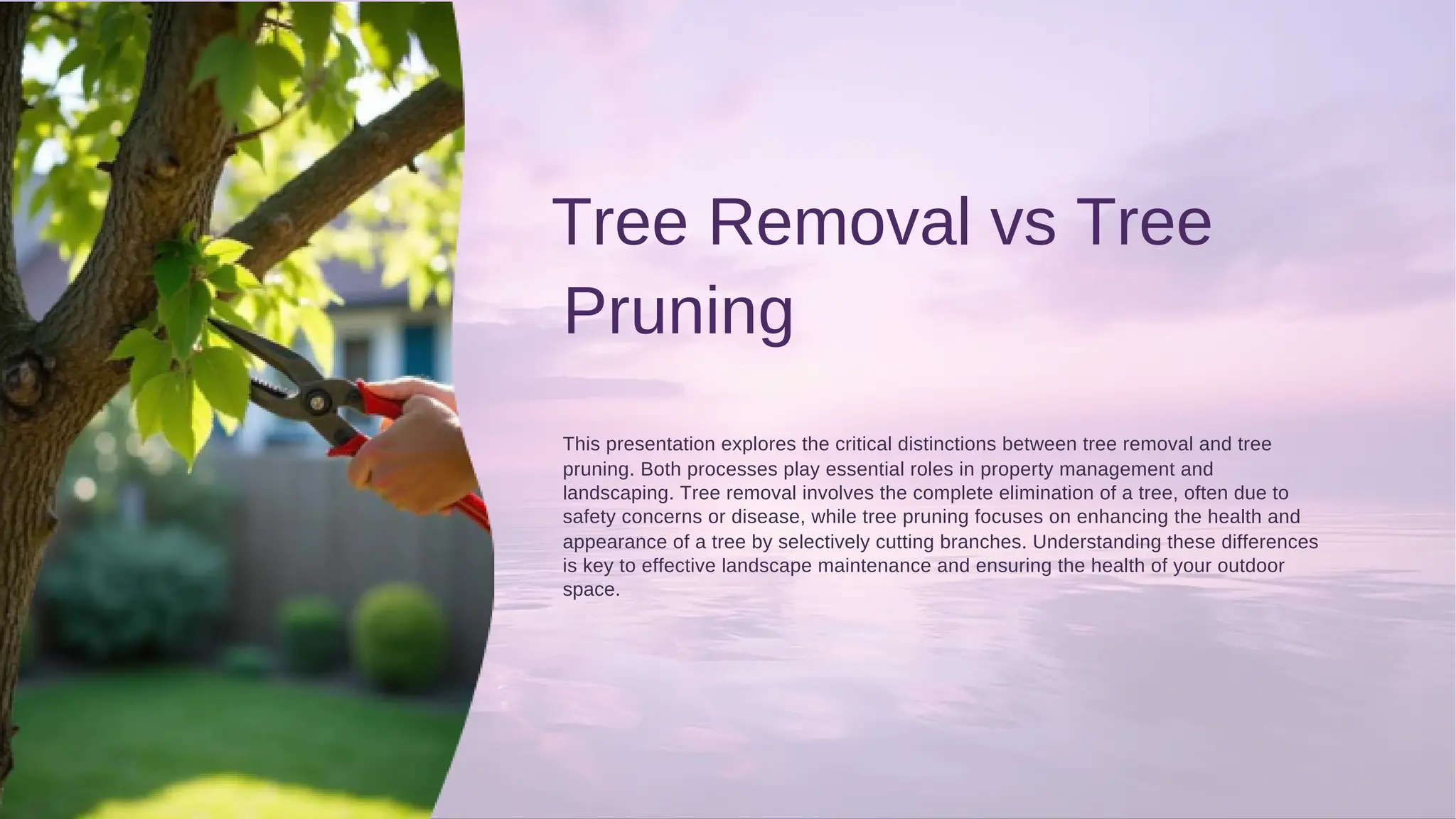 Pruning
Tree Removal vs Tree
space.
pruning. Both processes play essential roles in property management and
This presentation explores the critical distinctions between tree removal and tree
is key to effective landscape maintenance and ensuring the health of your outdoor
landscaping. Tree removal involves the complete elimination of a tree, often due to
safety concerns or disease, while tree pruning focuses on enhancing the health and
appearance of a tree by selectively cutting branches. Understanding these differences
 