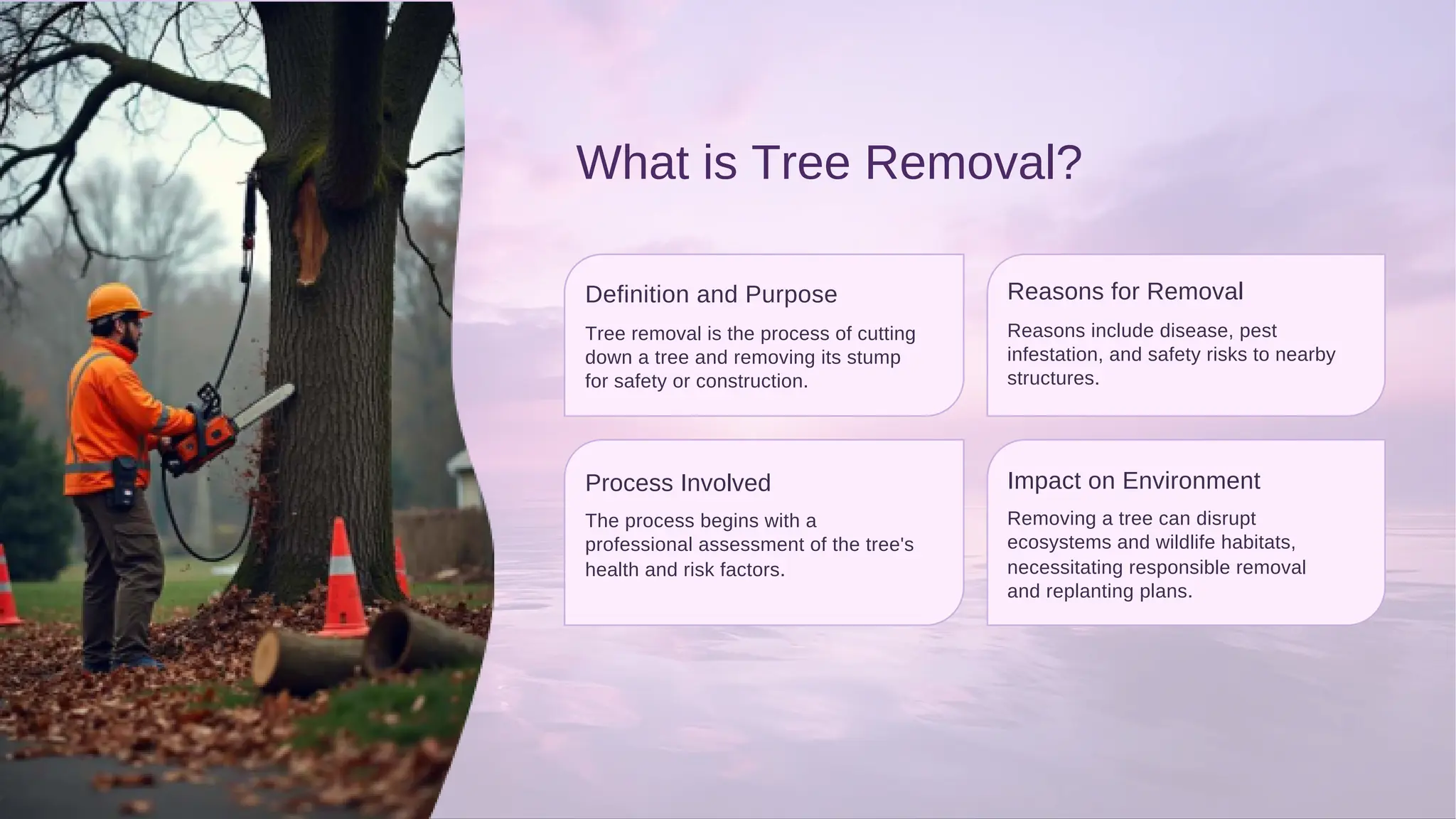 What is Tree Removal?
Process Involved
Definition and Purpose Reasons for Removal
Impact on Environment
health and risk factors.
The process begins with a
for safety or construction.
down a tree and removing its stump
Tree removal is the process of cutting
professional assessment of the tree's
structures.
and replanting plans.
Removing a tree can disrupt
Reasons include disease, pest
ecosystems and wildlife habitats,
necessitating responsible removal
infestation, and safety risks to nearby
 