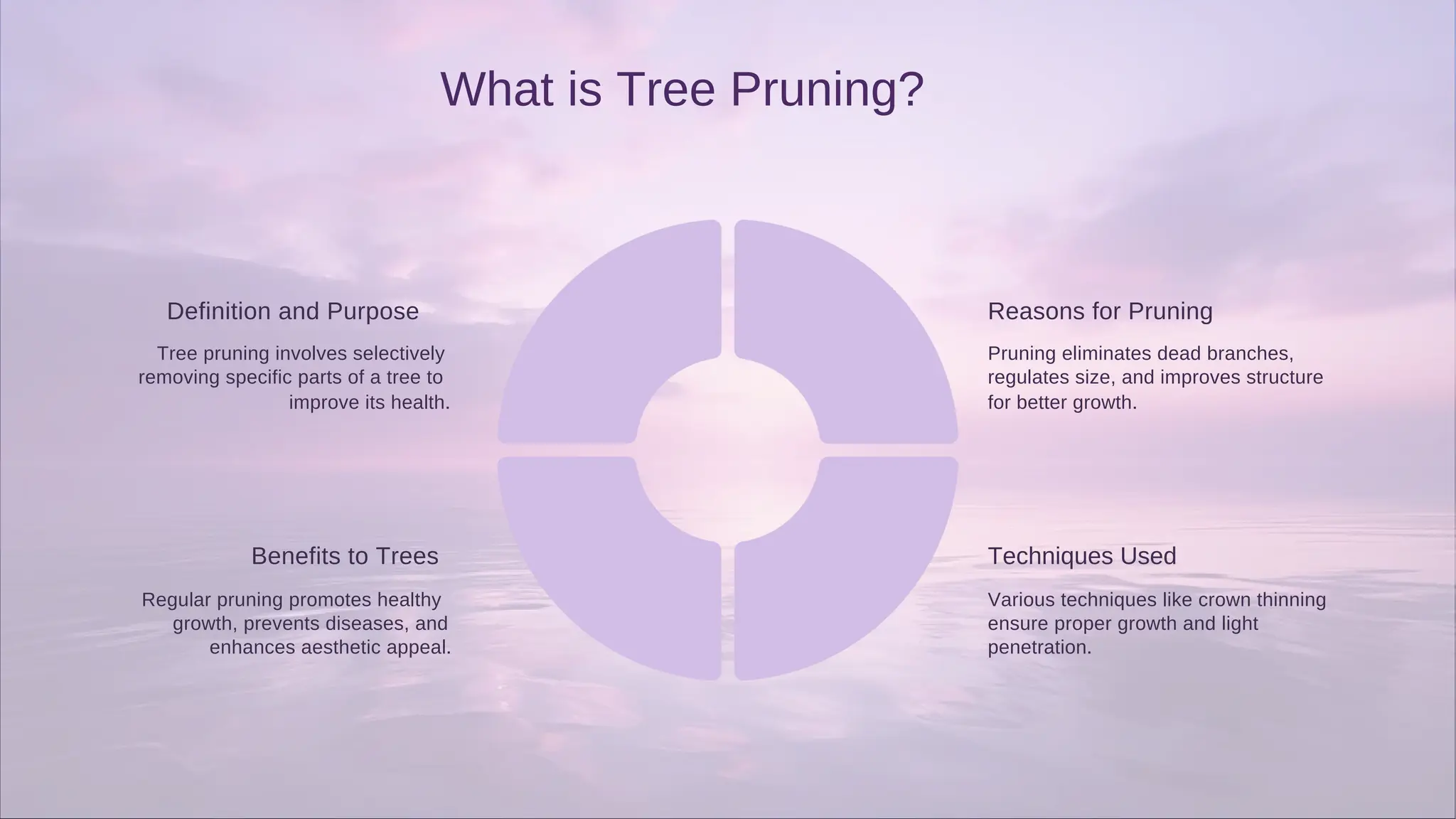 What is Tree Pruning?
Definition and Purpose
Benefits to Trees Techniques Used
Reasons for Pruning
growth, prevents diseases, and
removing specific parts of a tree to
Tree pruning involves selectively
Regular pruning promotes healthy
improve its health.
enhances aesthetic appeal. penetration.
for better growth.
ensure proper growth and light
Pruning eliminates dead branches,
regulates size, and improves structure
Various techniques like crown thinning
 