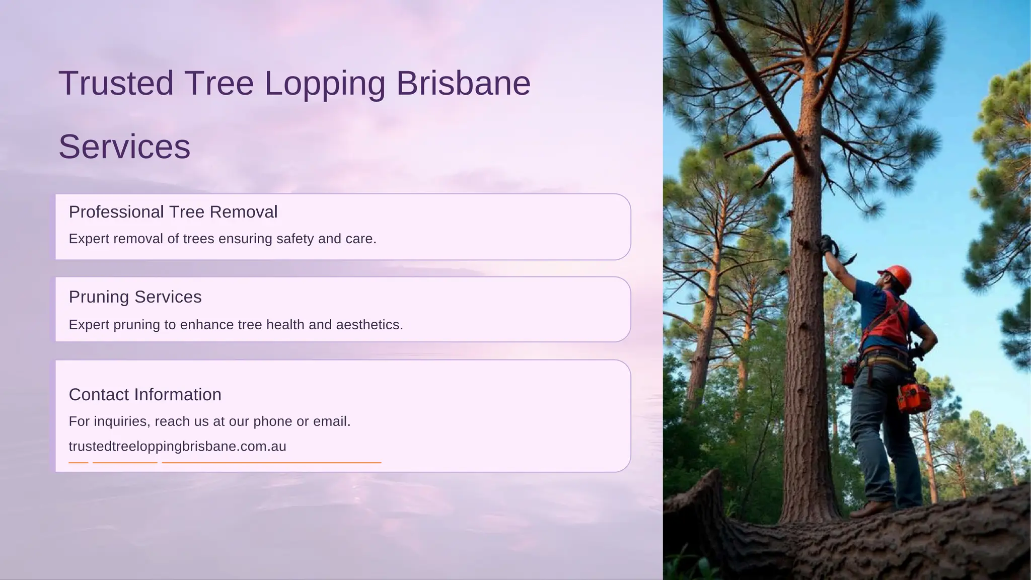 Services
Trusted Tree Lopping Brisbane
Pruning Services
Contact Information
Professional Tree Removal
For inquiries, reach us at our phone or email.
Expert removal of trees ensuring safety and care.
Expert pruning to enhance tree health and aesthetics.
trustedtreeloppingbrisbane.com.au
 