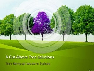 A Cut Above Tree Solutions
Tree Removal Western Sydney
 