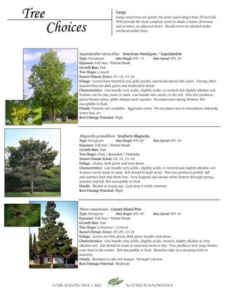 Tree                                        Large
                                            Large-sized trees are grown (in most cases) larger than 50 feet tall.


       Choices
                                            Will provide the most complete cover to shade a home, driveway
                                            and at times, an adjacent street. Should never be planted under
                                            overhead utility lines.




                    Liquidambar styraciflua American Sweetgum / Liquidambar
                   Type: Deciduous           Max Height (FT): 75      Max Spread (FT): 50
                   Exposure: Full Sun / Partial Shade
                   Growth Rate: Fast
                   Tree Shape: Conical
                   Sunset Climate Zones: 01-12, 14-24
                   Foliage: Leaves have beautiful red, gold, purple, and multicolored fall colors. During other
                   seasons they are dark green and moderately dense.
                   Characteristics: Can handle very acidic, slightly acidic, to neutral and slightly alkaline soil.
                   Texture can be clay, loam or sand. Can handle wet, moist, or dry soil. This tree produces
                   green/brown spiny, globe-shaped seed capsules. Inconspicuous spring flowers. Not
                   susceptible to frost.
                   Details: Varieties not available. Aggressive roots. Do not plant close to foundation, sidewalk,
                   sewer line, etc.
                   Root Damage Potential: High




                    Magnolia grandiflora Southern Magnolia
                   Type: Evergreen         Max Height (FT): 80       Max Spread (FT): 50
                   Exposure: Full Sun / Partial Shade
                   Growth Rate: Fast
                   Tree Shape: Oval / Rounded / Umbrella
                   Sunset Climate Zones: 04-12, 14-24
                   Foliage: Glossy, dark green and very dense.
                   Characteristics: Can handle very acidic, slightly acidic, to neutral and slightly alkaline soil.
                   Texture can be loam or sand. Soil should be kept moist. This tree produces prolific fall
                   and summer fruit that birds love. Very fragrant and showy white flowers through spring,
                   summer and fall. Not susceptible to frost.
                   Details: Blooms at young age. Leaf drop is fairly common.
                   Root Damage Potential: High




                    Pinus canariensis Canary Island Pine
                   Type: Evergreen           Max Height (FT): 90       Max Spread (FT): 40
                   Exposure: Full Sun / Partial Shade
                   Growth Rate: Fast
                   Tree Shape: Columnar / Conical
                   Sunset Climate Zones: 05-09, 12-24
                   Foliage: Leaves are blue green, dark green needles and dense.
                   Characteristics: Can handle very acidic, slightly acidic, neutral, slighty alkaline to very
                   alkaline soil. Soil should be loam or sand and moist or dry. Tree produces very large brown
                   cone fruit in the winter. Not susceptible to frost. Branches take on a weeping form at
                   maturity.
                   Details: Resistant to oak root fungus. Drought tolerant.
                   Root Damage Potential: Moderate




        Four Seasons Tree Care                      Rooted in knowledge
 