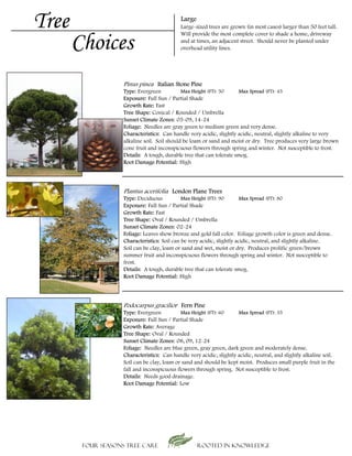 Tree                                        Large
                                            Large-sized trees are grown (in most cases) larger than 50 feet tall.


       Choices
                                            Will provide the most complete cover to shade a home, driveway
                                            and at times, an adjacent street. Should never be planted under
                                            overhead utility lines.




                    Pinus pinea Italian Stone Pine
                   Type: Evergreen           Max Height (FT): 50     Max Spread (FT): 45
                   Exposure: Full Sun / Partial Shade
                   Growth Rate: Fast
                   Tree Shape: Conical / Rounded / Umbrella
                   Sunset Climate Zones: 05-09, 14-24
                   Foliage: Needles are gray green to medium green and very dense.
                   Characteristics: Can handle very acidic, slightly acidic, neutral, slightly alkaline to very
                   alkaline soil. Soil should be loam or sand and moist or dry. Tree produces very large brown
                   cone fruit and inconspicuous flowers through spring and winter. Not susceptible to frost.
                   Details: A tough, durable tree that can tolerate smog.
                   Root Damage Potential: High




                    Plantus acerifolia London Plane Trees
                   Type: Deciduous           Max Height (FT): 90        Max Spread (FT): 80
                   Exposure: Full Sun / Partial Shade
                   Growth Rate: Fast
                   Tree Shape: Oval / Rounded / Umbrella
                   Sunset Climate Zones: 02-24
                   Foliage: Leaves show bronze and gold fall color. Foliage growth color is green and dense.
                   Characteristics: Soil can be very acidic, slightly acidic, neutral, and slightly alkaline.
                   Soil can be clay, loam or sand and wet, moist or dry. Produces prolific green/brown
                   summer fruit and inconspicuous flowers through spring and winter. Not susceptible to
                   frost.
                   Details: A tough, durable tree that can tolerate smog.
                   Root Damage Potential: High




                    Podocarpus gracilior Fern Pine
                   Type: Evergreen          Max Height (FT): 60      Max Spread (FT): 35
                   Exposure: Full Sun / Partial Shade
                   Growth Rate: Average
                   Tree Shape: Oval / Rounded
                   Sunset Climate Zones: 08, 09, 12-24
                   Foliage: Needles are blue green, gray green, dark green and moderately dense.
                   Characteristics: Can handle very acidic, slightly acidic, neutral, and slightly alkaline soil.
                   Soil can be clay, loam or sand and should be kept moist. Produces small purple fruit in the
                   fall and inconspicuous flowers through spring. Not susceptible to frost.
                   Details: Needs good drainage.
                   Root Damage Potential: Low




        Four Seasons Tree Care                      Rooted in knowledge
 