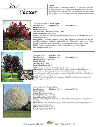 Tree                                        Small
                                           Small-sized trees grow up to 25 feet tall. Can grow above rooftop of


       Choices
                                           a single-story house and work well for shading walls and windows.
                                           Highly suitable for planting under overhead utility lines and to avoid
                                           interference with rooftop solar photovoltaic panels or satellite dishes.




                  Lagerstroemia Indica Crape Myrtle
                  Type: Deciduous          Max Height (FT): 25       Max Spread (FT): 20
                  Exposure: Full Sun
                  Growth Rate: Average
                  Tree Shape: Oval / Rounded / Umbrella / Vase
                  Sunset Climate Zones: 07-14, 18-21
                  Foliage: Leaves have red, gold, orange and multicolored fall colors and otherwise are green
                  and moderately dense.
                  Characteristics: Can handle very acidic, slightly acidic & neutral to slightly alkaline soil. Soil
                  should be clay, loam or sand and be kept moist to dry. Produces small brown fruit in fall and
                  lavender, pink, red or white showy flowers through summer. Not susceptible to frost.
                  Details: D
                  D il Drought resistant, h d
                                 h     i     handsome peeling b k and colorful summer bl
                                                            li bark d l f l                  bloom.
                  Root Damage Potential: Low




                  Prunus Cerasifera Purple-Leaf Plum
                  Type: Deciduous            Max Height (FT): 25     Max Spread (FT): 25
                  Exposure: Full Sun / Partial Shade
                  Growth Rate: Fast
                  Tree Shape: Oval / Vase
                  Sunset Climate Zones: 02-22
                  Foliage: Bronze / Purple / Green and moderately dense.
                  Characteristics: Can handle very acidic, slightly acidic, neutral to slightly alkaline to very
                  alkaline soil. Soil should be clay, loam or sand and be kept moist. Produces prolific
                  inconspicuous, non-edible, non-poisonous summer fruit and beautiful showy white flowers
                  through spring. Not susceptible to frost.
                  Details: Changing foliage that starts as coppery-red and eventually turns a bronzy-green.
                  Root Damage Potential: Low




                  Pyrus Calleryana Bradford Pear
                  Type: Deciduous           Max Height (FT): 30     Max Spread (FT): 20
                  Exposure: Full Sun
                  Growth Rate: Medium / Fast
                  Tree Shape: Rounded / Umbrella
                  Sunset Climate Zones: 02-09, 14-21
                  Foliage: Glossy, dark-green, turns dark red in the fall and small, clustered white flowers in
                  the winter.
                  Characteristics: Small, inconspicuous, non-edible fruit that attracts birds. Branch crotches
                  in mature trees tend to split.
                  Details: Not susceptible to frost.
                  Root Damage Potential: Moderate




        Four Seasons Tree Care                       Rooted in knowledge
 