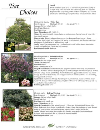 Tree                                       Small
                                           Small-sized trees grow up to 25 feet tall. Can grow above rooftop of


       Choices
                                           a single-story house and work well for shading walls and windows.
                                           Highly suitable for planting under overhead utility lines and to avoid
                                           interference with rooftop solar photovoltaic panels or satellite dishes.




                  Tristaniopsis laurina Water Gum
                  Type: Evergreen          Max Height (FT): 25      Max Spread (FT): 15
                  Exposure: Full sun to light shade
                  Growth Rate: Moderate
                  Tree Shape: round
                  Sunset Climate Zones: 15-17, 19-24
                  Foliage: New growth reddish-bronze, fading to medium green. Narrow leaves 4" long, wider
                  than straight species.
                  Characteristics: Flower - pleasant fragrance; spring & summer flowering; very showy
                  April-June. Small brown seed capsules, 1/4" across, form in summer and drop during winter
                  windstorms. Mottled, beige, or reddish brown bark.
                  Details: Tough, low-maintenance tree. Develops into a formal-looking shape. Appropriate
                  beneath overhead wires. Disease and pest resistant.
                  b      h     h d i          i       d        i
                  Root Damage Potential: Moderate




                  Rhaphiolepis indica Indian Hawthorn
                  Type: Evergreen           Max Height (FT): 10      Max Spread (FT): 5
                  Exposure: Full sun to light shade
                  Growth Rate: Moderate
                  Tree Shape: round
                  Sunset Climate Zones: 8-31
                  Foliage & Characteristics: Indian hawthorns are grown for their attractively neat, mounded
                  form and clusters of flowers. The fragrant, pink or white crabapple-like flowers open in clusters
                  above the foliage in mid-April to May. Bluish-black berries appear in late summer and persist
                  through the winter. The leathery, dark evergreen leaves are rounded, about 2 to 3 inches long,
                  turning purplish in winter.
                  Details: Plants prefer sun, although they will grow in partial shade. Indian hawthorn prefers
                  moist, well-drained soil, but will tolerate drought. It is tolerant of salt spray and sandy soils and
                  is a good choice for coastal areas.
                  Root Damage Potential: Low




                  Photinia glabra     Red-Leaf Photinia
                  Type: Evergreen           Max Height (FT): 15-20 Max Spread (FT): 10-15
                  Exposure: Full sun to light shade
                  Growth Rate: fast
                  Tree Shape: oval, round, vase
                  Sunset Climate Zones: 4-24
                  Foliage & Characteristics: New spring leaves, 2 - 5" long, are striking reddish bronze; older
                  foliage dark green above, lighter on undersides. Flowers/fruit - Large clusters of white flowers
                  appear in early spring in hot inland areas and later in coastal climates. No berries.
                  Details: Tolerates heat, smog, dust, wind or dry climates, better with irrigation and good
                  drainage. Mildew resistant. May be chlorotic in zones 12 and 13.
                  Root Damage Potential: Low




        Four Seasons Tree Care                      Rooted in knowledge
 