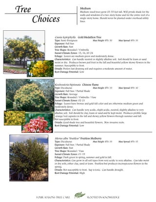 Tree                                        Medium
                                            Medium-sized trees grow 25-55 feet tall. Will prvide shade for the


       Choices
                                            walls and windows of a two-story home and for the entire roof of a
                                            single-story home. Should never be planted under overhead utility
                                            lines.




                    Cassia leptophylla Gold Medallion Tree
                   Type: Semi-Evergreen                   Max Height (FT): 50      Max Spread (FT): 35
                   Exposure: Full Sun
                   Growth Rate: Fast
                   Tree Shape: Rounded / Umbrella
                   Sunset Climate Zones: 15, 16, 20-24
                   Foliage: Leaves are medium green and moderately dense.
                   Characteristics: Can handle neutral or slightly alkaline soil. Soil should be loam or sand
                   moist or dry. Produces brown pod fruit in the fall and beautiful yellow showy flowers in the
                   summer. Susceptible to frost.
                   Details: Prefers fast draining soil and requires a moderate amount of water.
                   Root Damage Potential: Low




                    Koelreuteria bipinnata Chinese Flame
                   Type: Deciduous                        Max Height (FT): 35     Max Spread (FT): 30
                   Exposure: Full Sun / Partial Shade
                   Growth Rate: Average
                   Tree Shape: Rounded / Umbrella / Vase
                   Sunset Climate Zones: 02-21
                   Foliage: Leaves have bronze and gold fall color and are otherwise medium green and
                   moderately dense.
                   Characteristics: Can handle very acidic, slight acidic, neutral, slightly alkaline to very
                   alkaline soil. Soil should be clay, loam or sand and be kept moist. Produces prolific large
                    orange/red capsules in the fall and showy yellow flowers through summer and fall.
                   Not susceptible to frost.
                   Details: Good shade tree and beautiful flowers. Non-invasive roots.
                   Root Damage Potential: Low




                    Morus alba "fruitless" Fruitless Mulberry
                   Type: Deciduous                        Max Height (FT): 35       Max Spread (FT): 35
                   Exposure: Full Sun / Partial Shade
                   Growth Rate: Fast
                   Tree Shape: Rounded / Vase
                   Sunset Climate Zones: 01-19
                   Foliage: Dark green in spring, summer and gold in fall.
                   Characteristics: Can grow in all soil types from very acidic to very alkaline. Can take moist
                   or dry soils, either clay, sand or loam. Fruitless but produces inconspicuous flowers in the
                   spring.
                   Details: Not susceptible to frost. Sap is toxic. Can handle drought.
                   Root Damage Potential: High




        Four Seasons Tree Care                     Rooted in knowledge
 