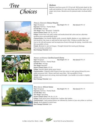 Tree                                        Medium
                                            Medium-sized trees grow 25-55 feet tall. Will prvide shade for the


       Choices
                                            walls and windows of a two-story home and for the entire roof of a
                                            single-story home. Should never be planted under overhead utility
                                            lines.




                    Pistacia chinensis Chinese Pistache
                   Type: Deciduous                       Max Height (FT): 55        Max Spread (FT): 40
                   Exposure: Full Sun / Partial Shade
                   Growth Rate: Average
                   Tree Shape: Oval / Rounded / Umbrella
                   Sunset Climate Zones: 04-16, 18-23
                   Foliage: Leaves have red, gold, orange and multicolored fall colors and are otherwise
                   medium green and moderately dense.
                   Characteristics: Can handle slightly acidic, neutral, slightly alkaline to very alkaline soil.
                   Soil should be clay, loam or sand and be kept moist to dry. Produces prolific blue/red
                   fruit in the fall and summer and inconspicuous flowers through the spring. Good fall color.
                   Not susceptible to frost.
                   Details: Resistant to oak root fungus. Drought tolerant but needs good drainage.
                   Does not produce pistachios.
                   Root Damage Potential: Low




                    Prunus caroliniana Carolina Laurel Cherry
                   Type: Evergreen                        Max Height (FT): 30     Max Spread (FT): 25
                   Exposure: Full Sun / Partial Shade
                   Growth Rate: Average
                   Tree Shape: Rounded
                   Sunset Climate Zones: 05-24
                   Foliage: Smooth edged, glossy green leaves
                   Characteristics: Fragrant white flowers from late winter to mid-spring followed by non-
                   edible poisonous fruit. Flower and fruit cause litter. Not susceptible to frost.
                   Details: Tolerates poor soil, strong wind and drought. Can handle very acidic to slightly
                   alkaline soils.
                   Root Damage Potential: Low




                    Rhus Iancea African Sumac
                   Type: Evergreen                       Max Height (FT): 30       Max Spread (FT): 35
                   Exposure: Full Sun / Partial Shade
                   Growth Rate: Slow
                   Tree Shape: Spreading
                   Sunset Climate Zones: 08, 09, 12-24
                   Foliage: Dark green leaves divided into 3 willow-like leaflets.
                   Characteristics: Early spring flowers are followed by clusters of pea-size yellow or red fruit.
                   Details: Well adapted to desert heat.
                   Root Damage Potential: Low




        Four Seasons Tree Care                     Rooted in knowledge
 