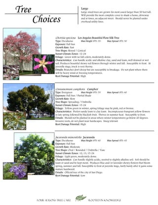 Tree                                        Large
                                            Large-sized trees are grown (in most cases) larger than 50 feet tall.


       Choices
                                            Will provide the most complete cover to shade a home, driveway
                                            and at times, an adjacent street. Should never be planted under
                                            overhead utility lines.




                    Chorisia speciosa Los Angeles Beautiful Floss Silk Tree
                   Type: Deciduous            Max Height (FT): 55    Max Spread (FT): 50
                   Exposure: Full Sun
                   Growth Rate: Fast
                   Tree Shape: Round / Conical
                   Sunset Climate Zones: 12-24
                   Foliage: Green with no fall colors, moderately dense.
                   Characteristics: Can handle acidic and alkaline clay, sand and loam, well drained or wet
                   soil. Produces beautiful showy red flowers through winter and fall. Susceptible to frost. At
                   juvenille stage, truck is very thorny.
                   Details: Branches don't droop but are susceptible to breakage. Do not plant where there
                   will be heavy wind or freezing temperatures.
                   Root Damage Potential: High




                    Cinnamomum camphora Camphor
                   Type: Evergreen           Max Height (FT): 55      Max Spread (FT): 60
                   Exposure: Full Sun / Partial Shade
                   Growth Rate: Slow
                   Tree Shape: Spreading / Umbrella
                   Sunset Climate Zones: 15-24
                   Foliage: Yellow green in winter, spring foliage may be pink, red or bronze.
                   Characteristics: Prefers sandy loam to clay loam. Inconspicuous frangrant yellow flowers
                   in late spring followed by blackish fruit. Thrives in summer heat. Susceptible to frost.
                   Details: Should not be planted in areas where winter temperatures go below 20 degrees.
                   Invasive roots, do not plant near hardscapes. Smog tolerant
                   Root Damage Potential: High




                    Jacaranda mimosifolia Jacaranda
                   Type: Deciduous            Max Height (FT): 60     Max Spread (FT): 45
                   Exposure: Full Sun
                   Growth Rate: Moderate
                   Tree Shape: Oval / Rounded / Umbrella / Vase
                   Sunset Climate Zones: 12, 13, 15-24
                   Foliage: Light green, moderately dense.
                   Characteristics: Can handle slightly acidic, neutral to slightly alkaline soil. Soil should be
                   loam or sand and be kept moist. Produces blue and/or lavender showy flowers that bloom
                   spring, summer and fall. Susceptible to frost at juvenile stage, fairly hardy after it gains some
                   mature hardwood.
                   Details: Official tree of the city of San Diego.
                   Root Damage Potential: Low




        Four Seasons Tree Care                      Rooted in knowledge
 