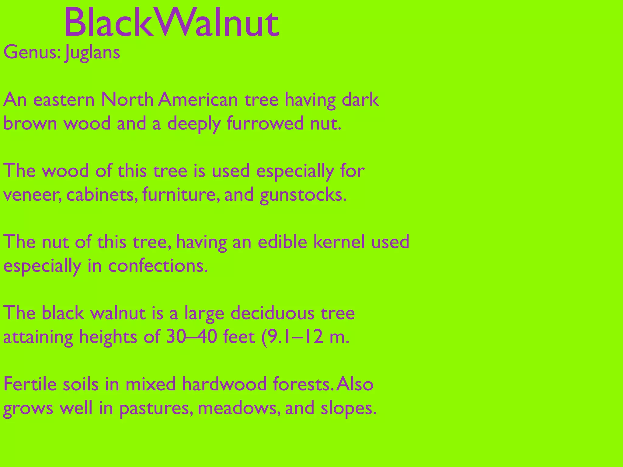 BlackWalnut
Genus: Juglans

An eastern North American tree having dark
brown wood and a deeply furrowed nut.

The wood of this tree is used especially for
veneer, cabinets, furniture, and gunstocks.

The nut of this tree, having an edible kernel used
especially in confections.

The black walnut is a large deciduous tree
attaining heights of 30–40 feet (9.1–12 m.

Fertile soils in mixed hardwood forests. Also
grows well in pastures, meadows, and slopes.
 