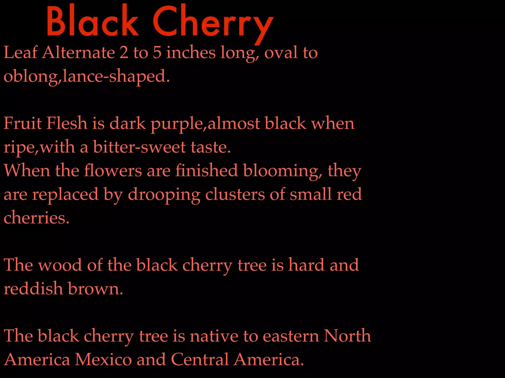 Black Cherry
Leaf Alternate 2 to 5 inches long, oval to
oblong,lance-shaped.

Fruit Flesh is dark purple,almost black when
ripe,with a bitter-sweet taste.
When the ﬂowers are ﬁnished blooming, they
are replaced by drooping clusters of small red
cherries.

The wood of the black cherry tree is hard and
reddish brown.

The black cherry tree is native to eastern North
America Mexico and Central America.
 