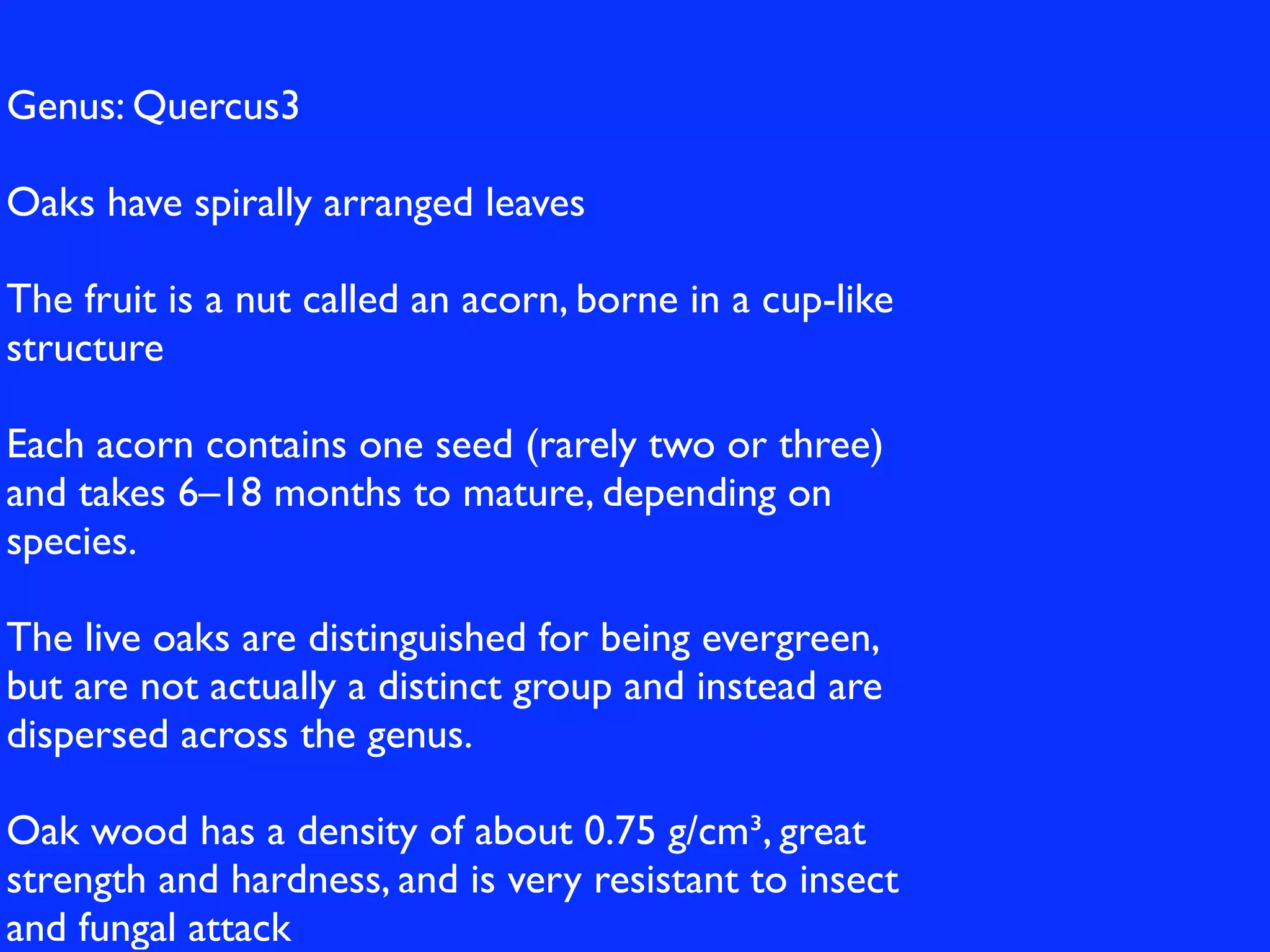 Genus: Quercus3

Oaks have spirally arranged leaves

The fruit is a nut called an acorn, borne in a cup-like
structure

Each acorn contains one seed (rarely two or three)
and takes 6–18 months to mature, depending on
species.

The live oaks are distinguished for being evergreen,
but are not actually a distinct group and instead are
dispersed across the genus.

Oak wood has a density of about 0.75 g/cm³, great
strength and hardness, and is very resistant to insect
and fungal attack
 