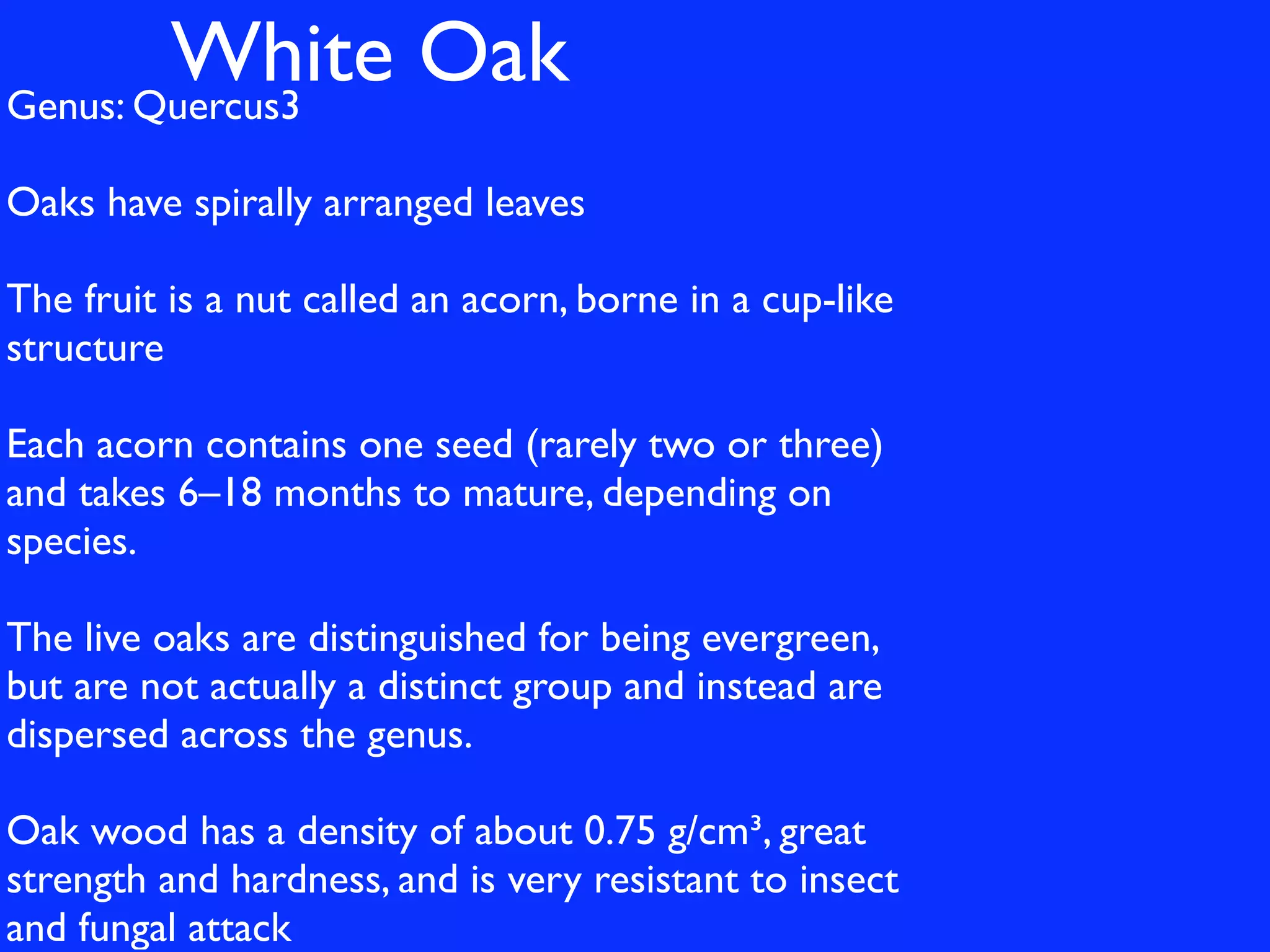 White Oak
Genus: Quercus3

Oaks have spirally arranged leaves

The fruit is a nut called an acorn, borne in a cup-like
structure

Each acorn contains one seed (rarely two or three)
and takes 6–18 months to mature, depending on
species.

The live oaks are distinguished for being evergreen,
but are not actually a distinct group and instead are
dispersed across the genus.

Oak wood has a density of about 0.75 g/cm³, great
strength and hardness, and is very resistant to insect
and fungal attack
 