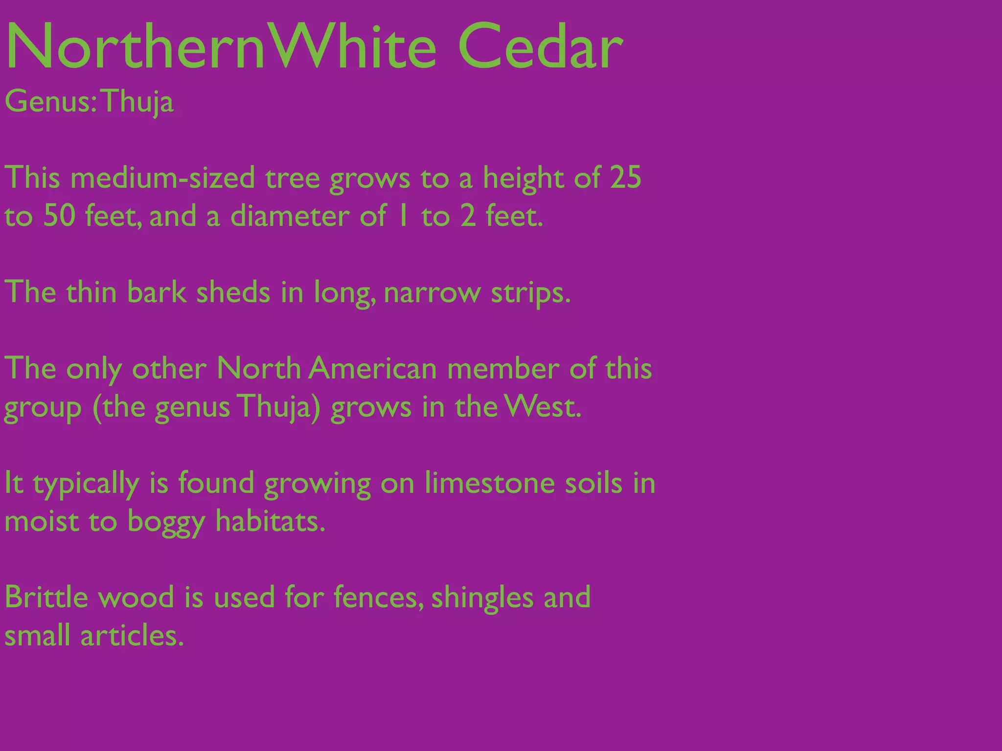 NorthernWhite Cedar
Genus: Thuja

This medium-sized tree grows to a height of 25
to 50 feet, and a diameter of 1 to 2 feet.

The thin bark sheds in long, narrow strips.

The only other North American member of this
group (the genus Thuja) grows in the West.

It typically is found growing on limestone soils in
moist to boggy habitats.

Brittle wood is used for fences, shingles and
small articles.
 