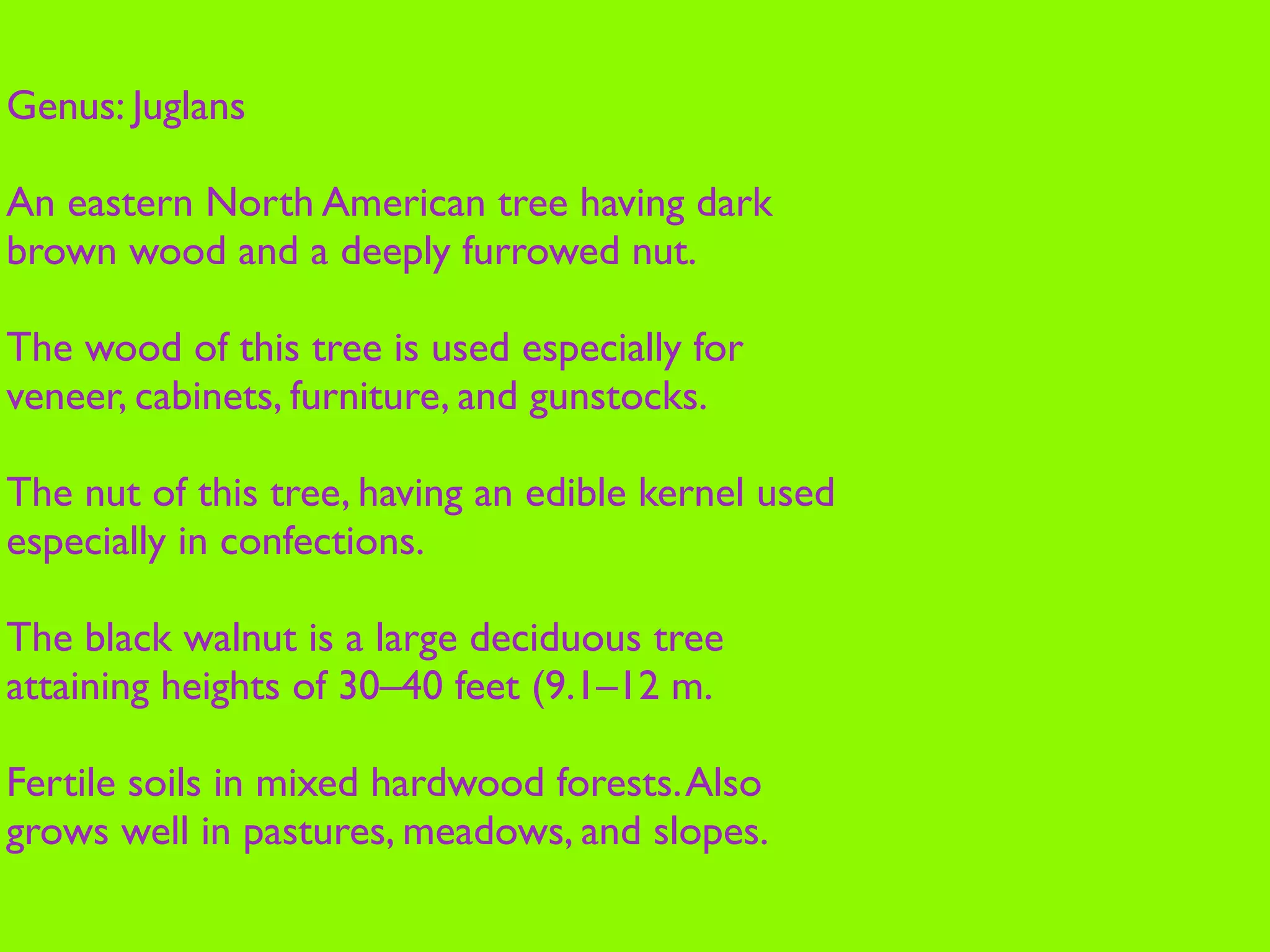 Genus: Juglans

An eastern North American tree having dark
brown wood and a deeply furrowed nut.

The wood of this tree is used especially for
veneer, cabinets, furniture, and gunstocks.

The nut of this tree, having an edible kernel used
especially in confections.

The black walnut is a large deciduous tree
attaining heights of 30–40 feet (9.1–12 m.

Fertile soils in mixed hardwood forests. Also
grows well in pastures, meadows, and slopes.
 