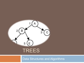 Trees Data Structures and Algorithms 