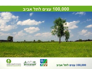100,000  עצים לתל אביב 