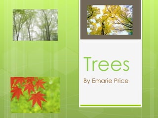 Trees
By Emarie Price
 