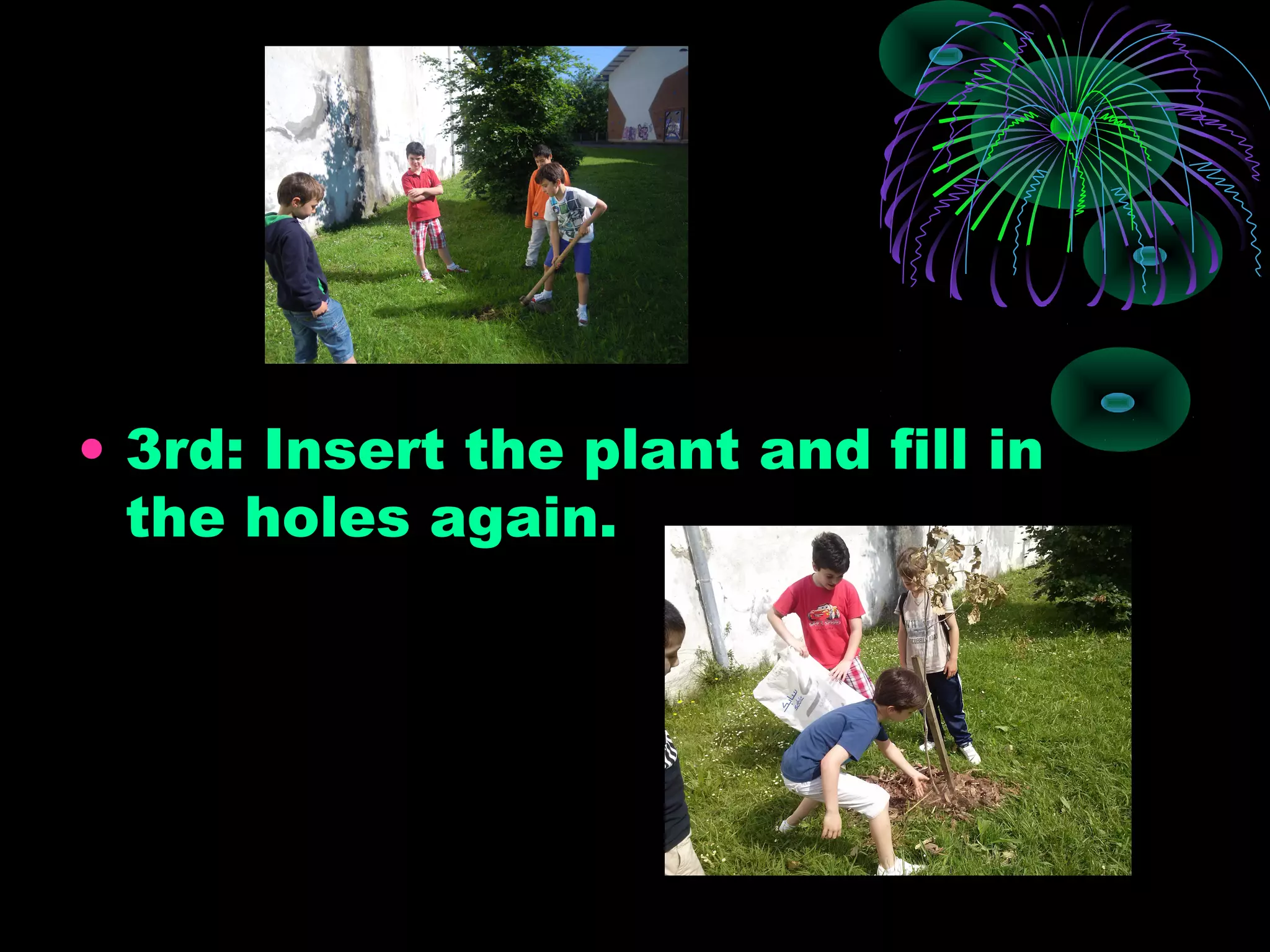 • 3rd: Insert the plant and fill in
the holes again.