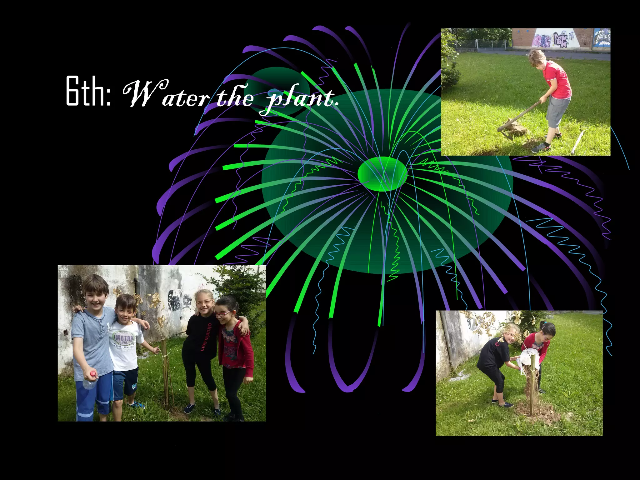 6th: Water the plant.