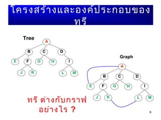 6
A
B DC
E F G H I
J K L M
โครงสร้างและองค์ประกอบของ
ทรี
Tree
A
B DC
E F G H I
J K L M
Graph
ทรี ต่างกับกราฟ
อย่างไร ?
 