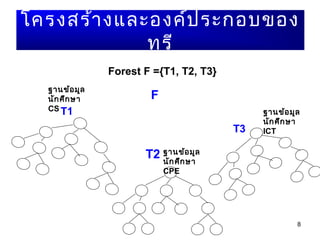 8
โครงสร้างและองค์ประกอบของ
ทรี
T1
T2
T3
Forest F ={T1, T2, T3}
F
ฐานข้อมูล
นักศึกษา
CS
ฐานข้อมูล
นักศึกษา
CPE
ฐานข้อมูล
นักศึกษา
ICT
 